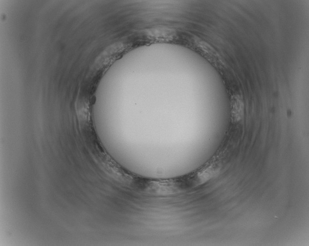 X0000071850713200607141750