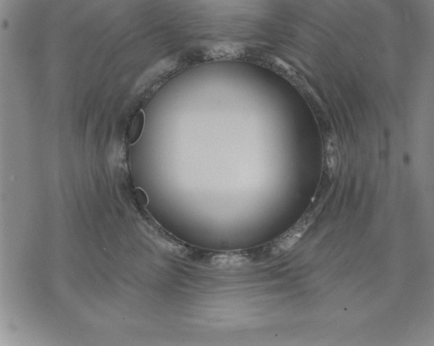 X0000071850714200607141750