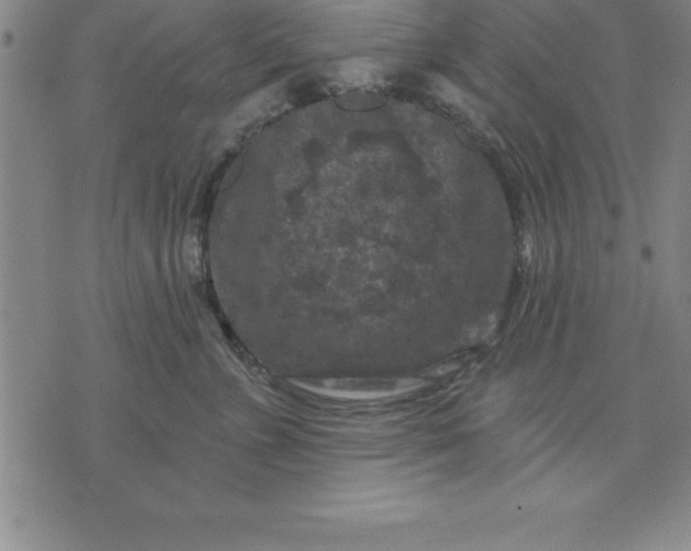 X0000071850715200607141750