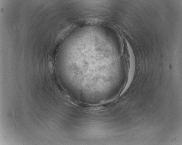 X0000071850716200607141750