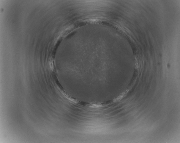 X0000071850718200607141750