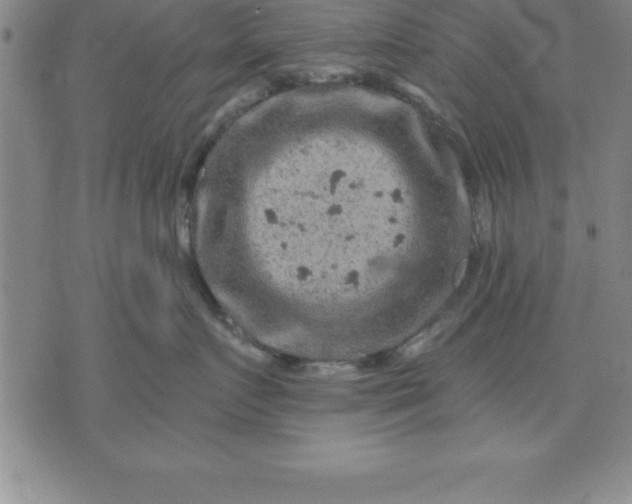 X0000071850719200607141750