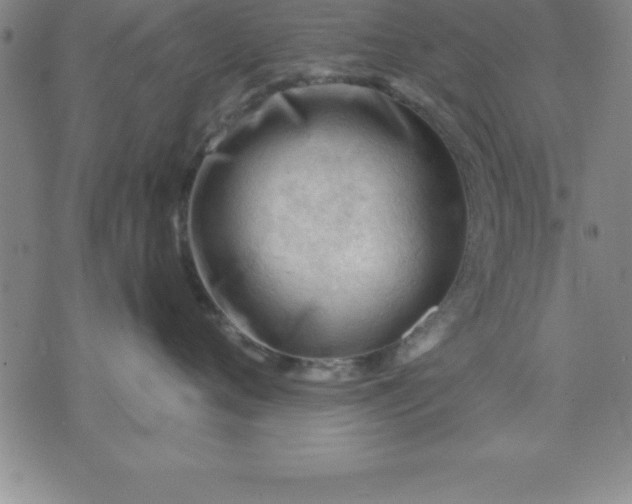 X0000071850720200607141750