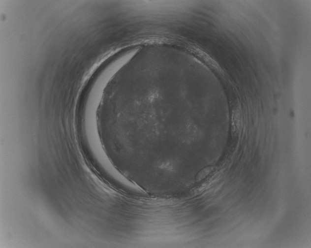 X0000071850722200607141749