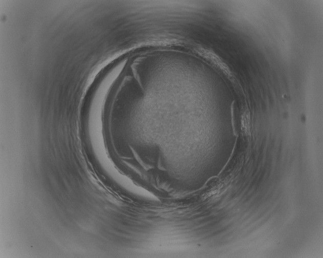 X0000071850724200607141749