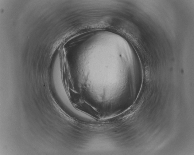 X0000071850725200607141749