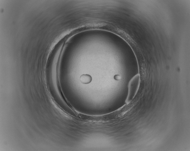 X0000071850726200607141749