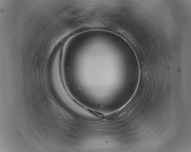 X0000071850727200607141749