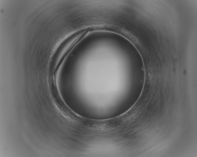 X0000071850728200607141749