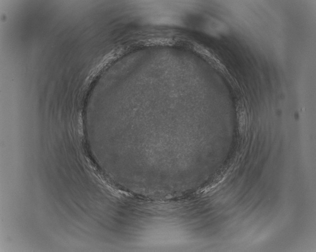 X0000071850729200607141749