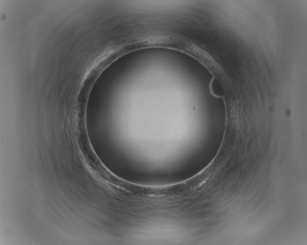 X0000071850730200607141749