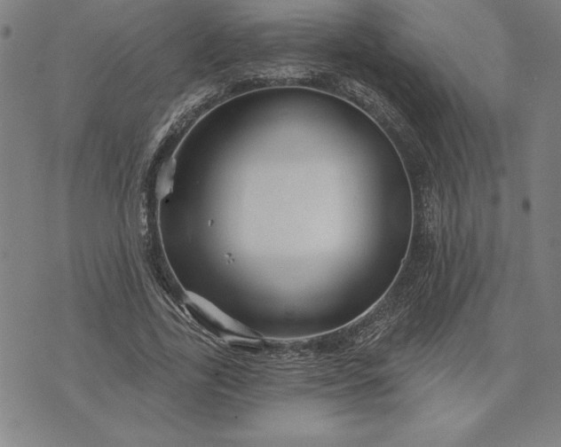 X0000071850731200607141749