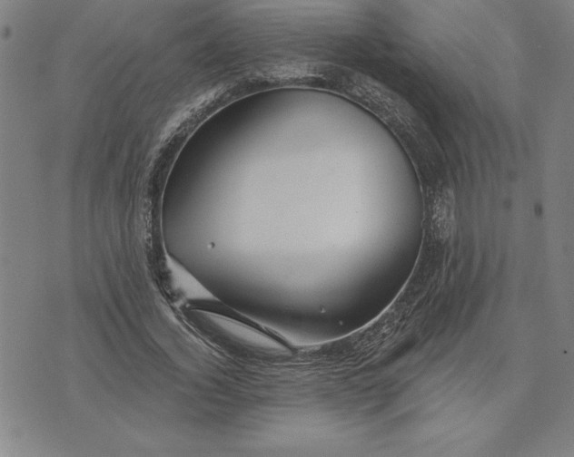 X0000071850732200607141749