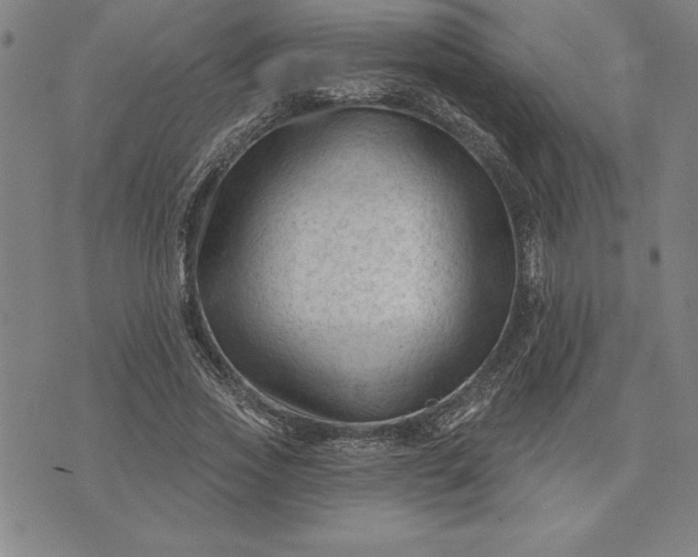 X0000071850733200607141749