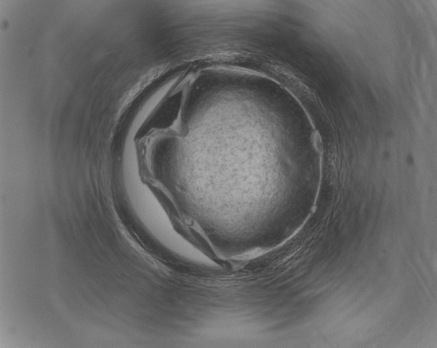 X0000071850734200607141749