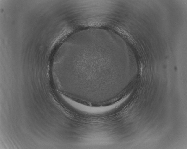 X0000071850735200607141749