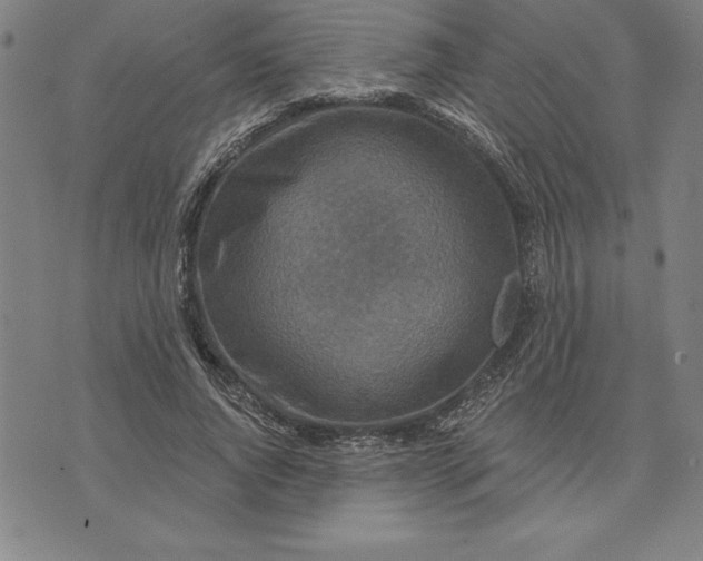 X0000071850736200607141749