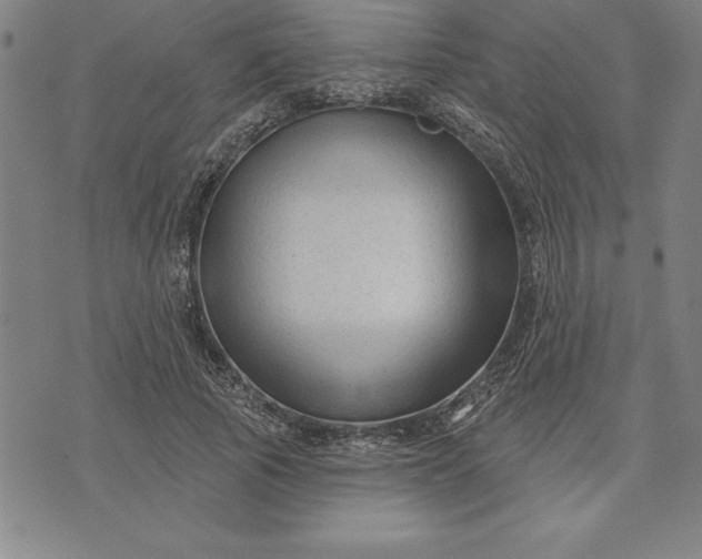 X0000071850737200607141749