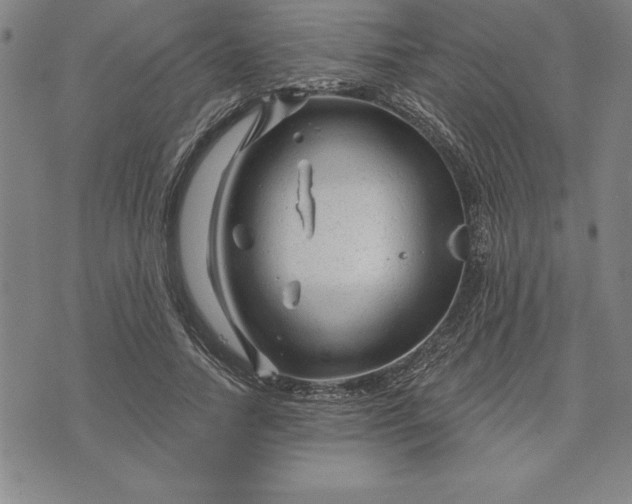 X0000071850738200607141749