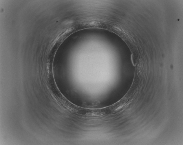 X0000071850739200607141749