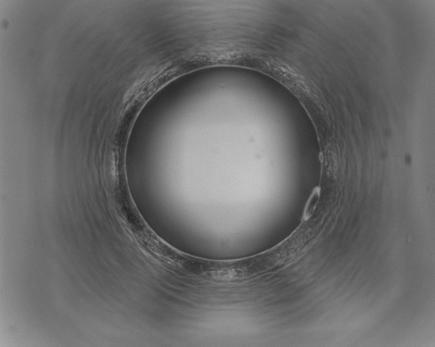 X0000071850740200607141749