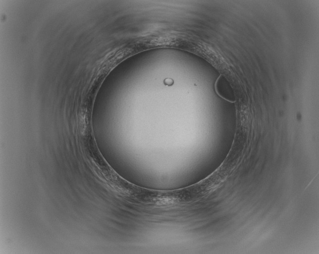 X0000071850741200607141749