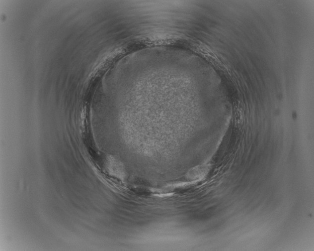 X0000071850742200607141750