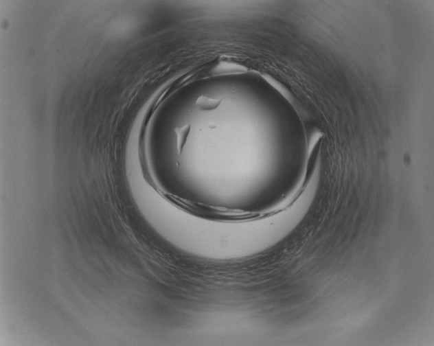 X0000071850743200607141750