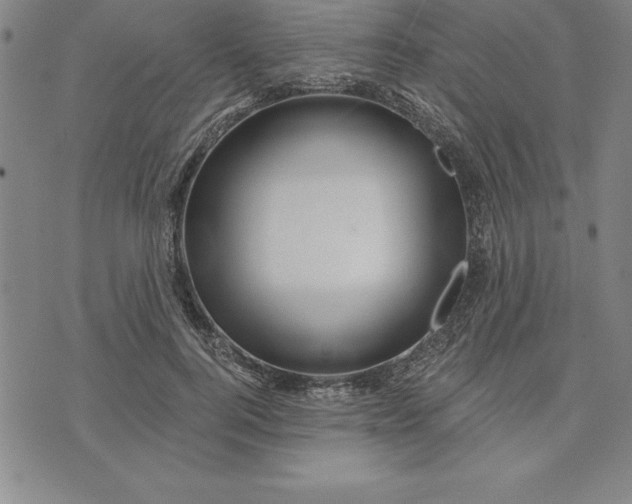 X0000071850744200607141750