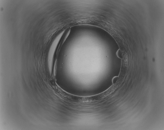 X0000071850746200607141750