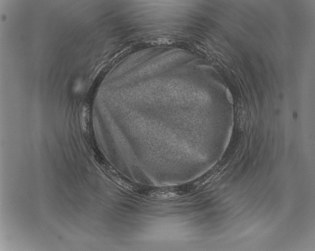 X0000071850747200607141750