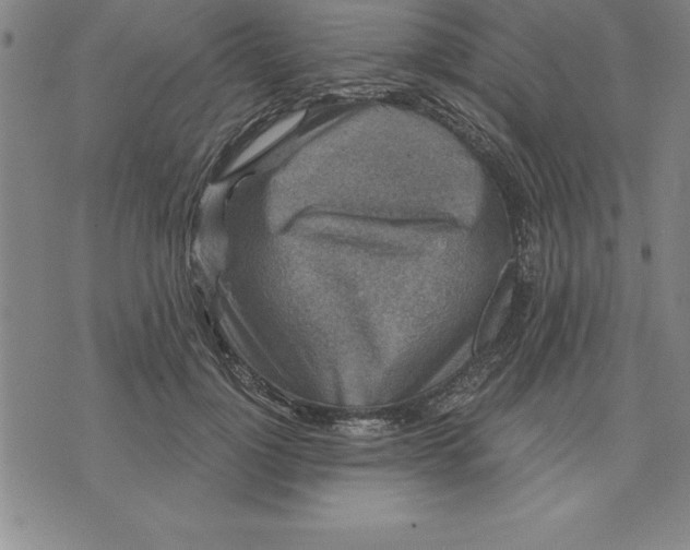 X0000071850748200607141750