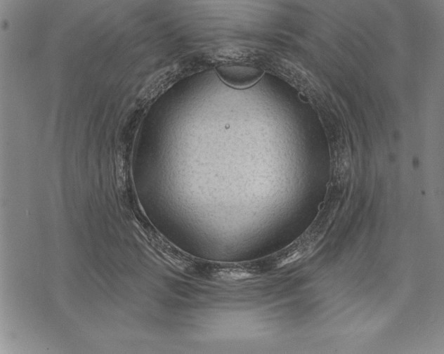 X0000071850749200607141750