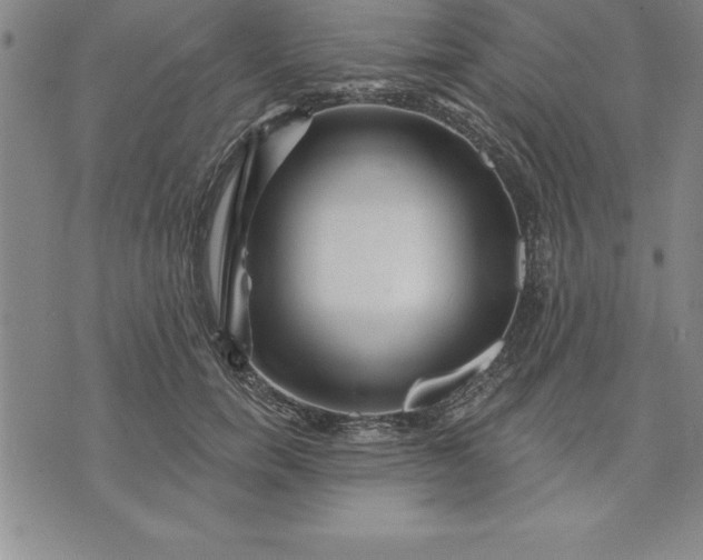 X0000071850750200607141750