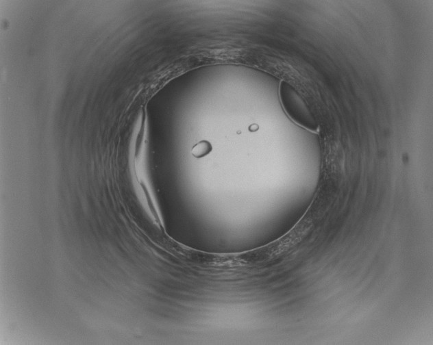 X0000071850752200607141750