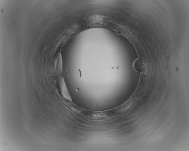 X0000071850753200607141750