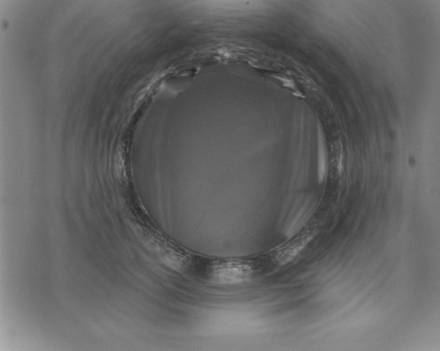 X0000071850754200607141750