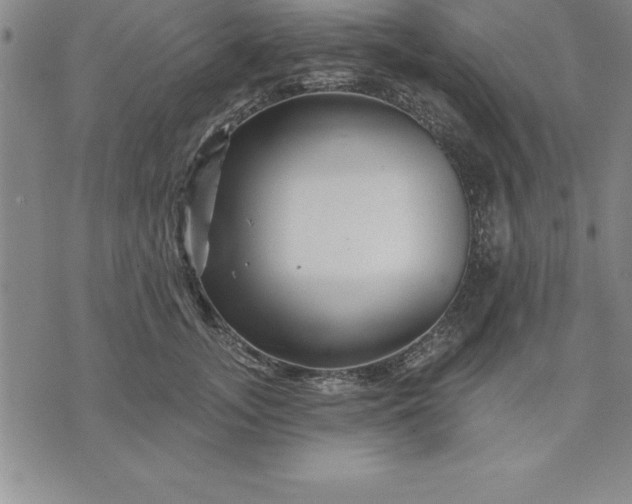 X0000071850755200607141750