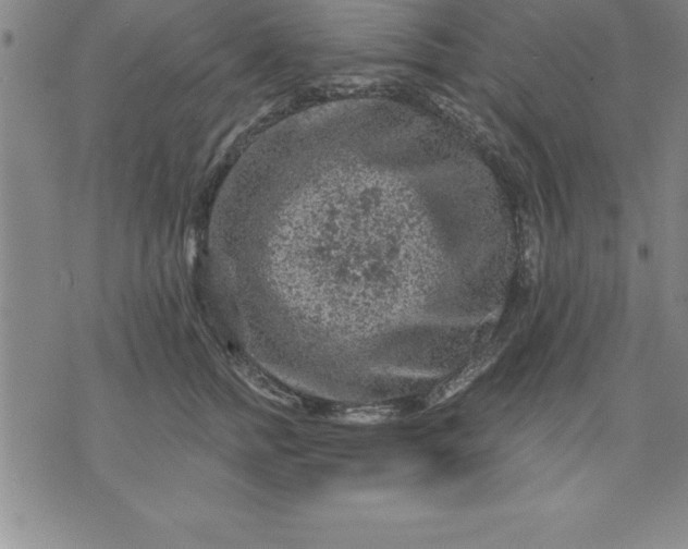 X0000071850758200607141750