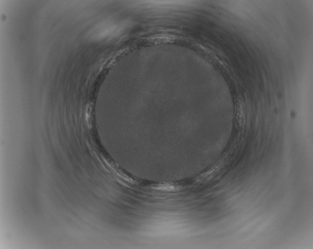 X0000071850759200607141750