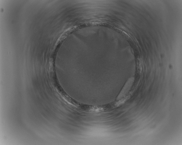 X0000071850760200607141750