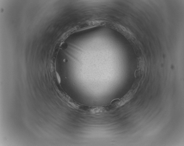 X0000071850761200607141750