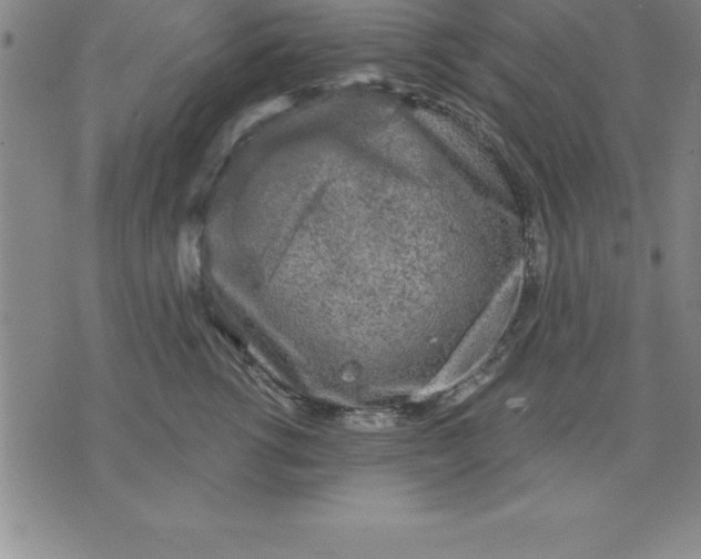 X0000071850762200607141750