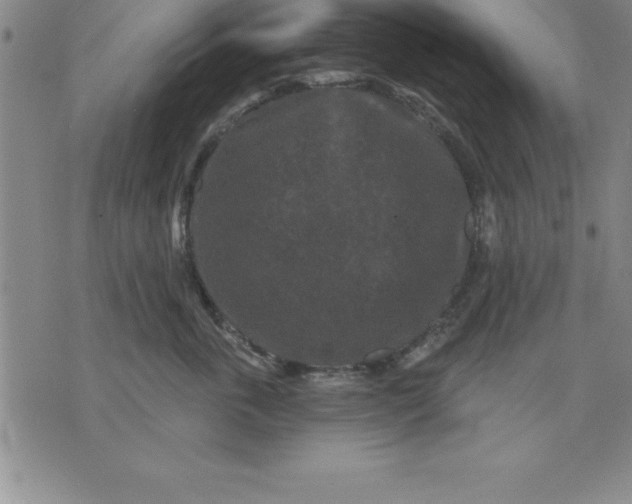 X0000071850763200607141750