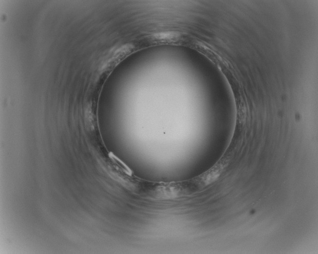 X0000071850764200607141750