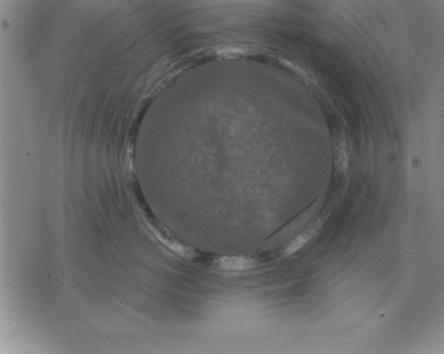 X0000071850766200607141750