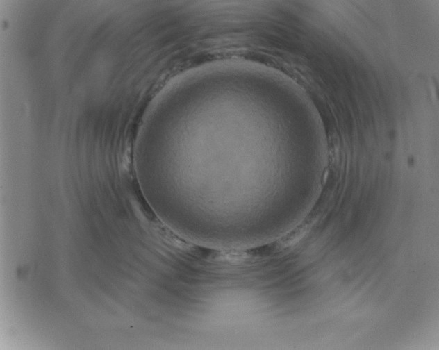 X0000071850767200607141750