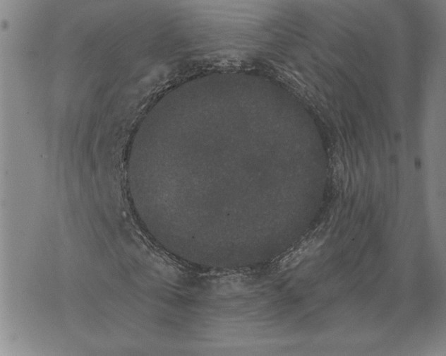 X0000071850769200607141749