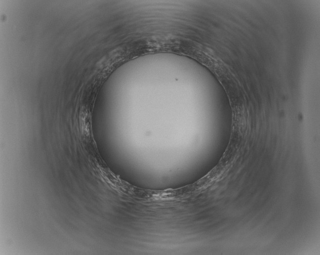 X0000071850770200607141749