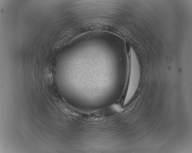 X0000071850771200607141749